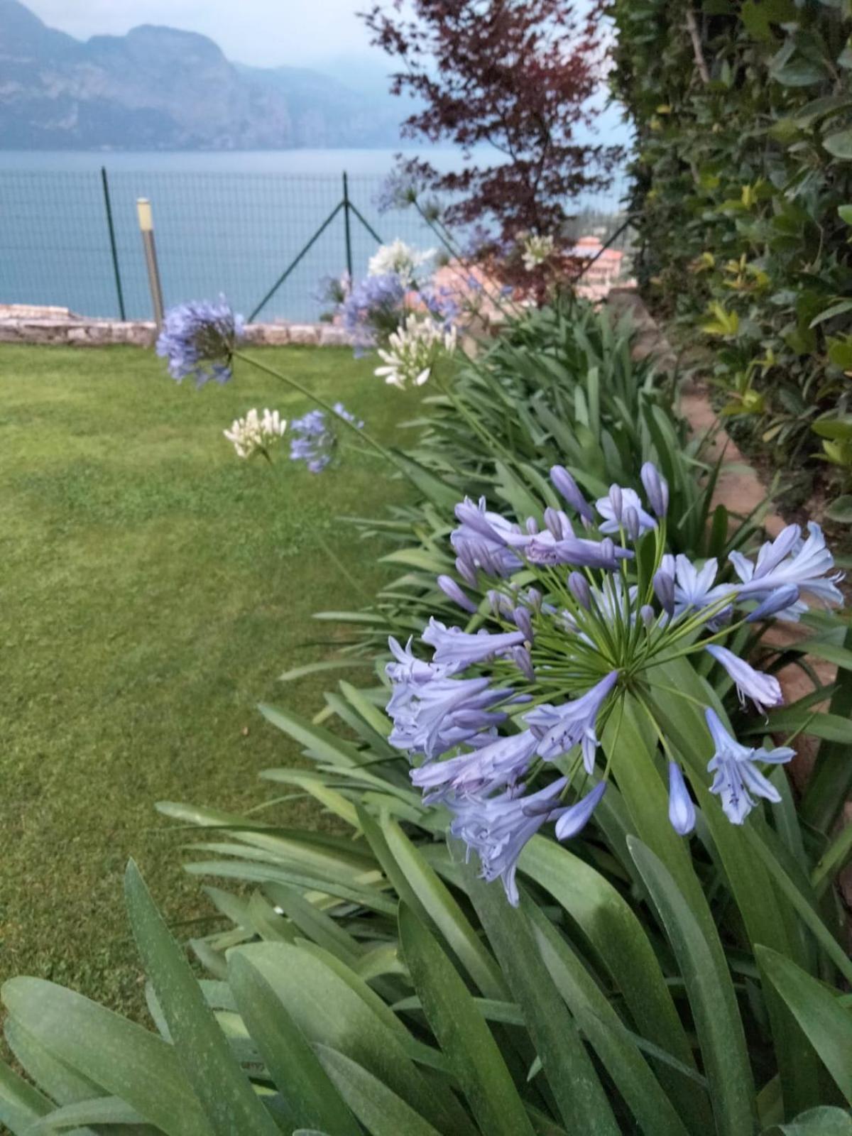 Appartamento Anna Brenzone sul Garda Ngoại thất bức ảnh