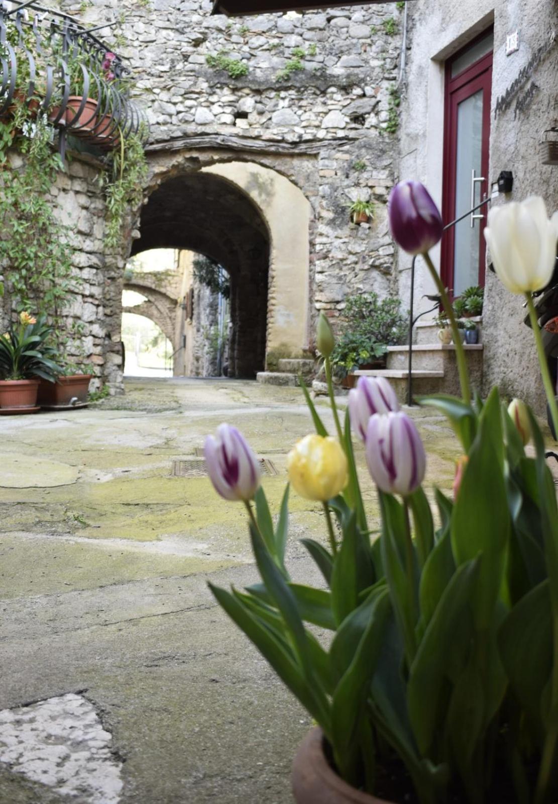 Appartamento Anna Brenzone sul Garda Ngoại thất bức ảnh